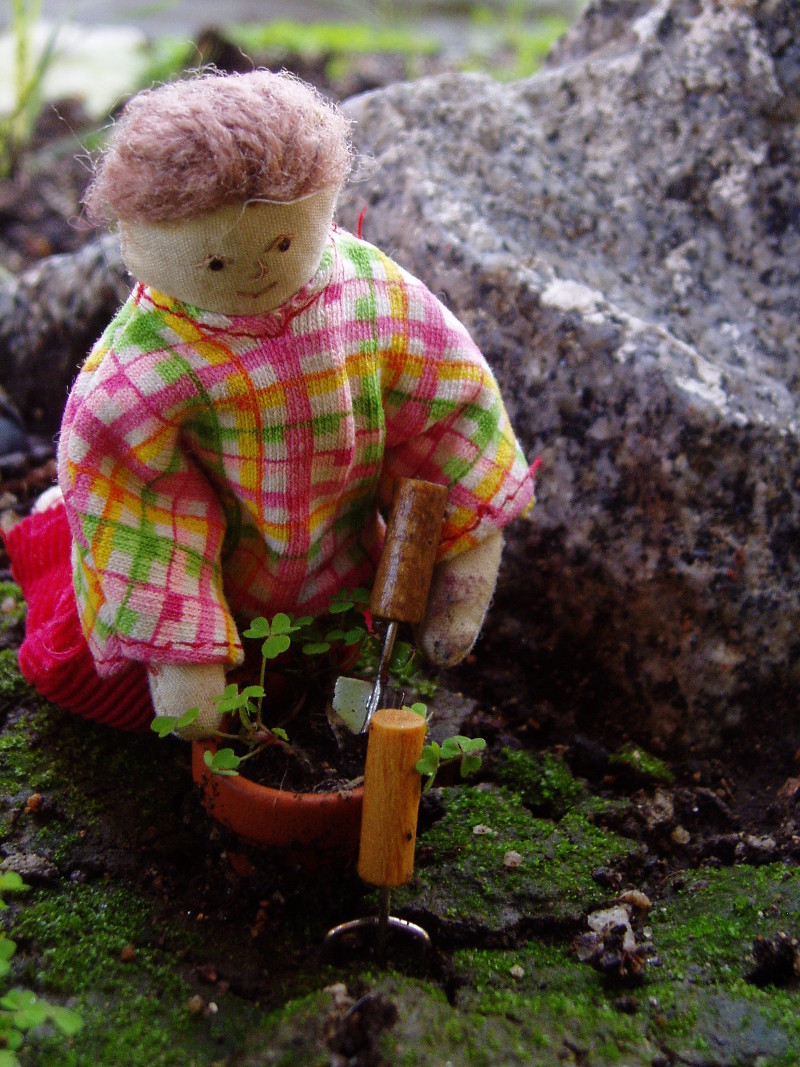 Doll garden in 2011
